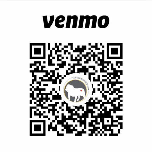 Indiana Bulldog Rescue Foster Adopt Sponsor Donate