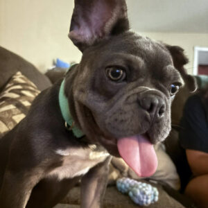Frankie