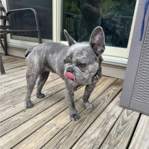 Lucy