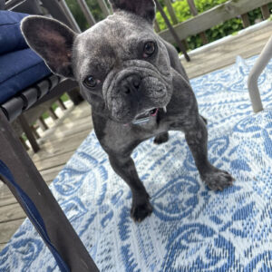 Lucy